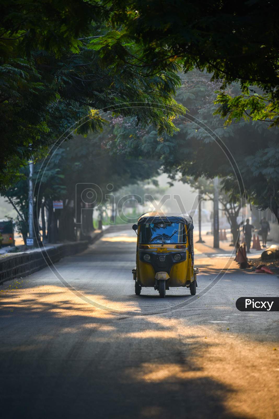 Auto In an Urban City Road With Canopy Of Tree