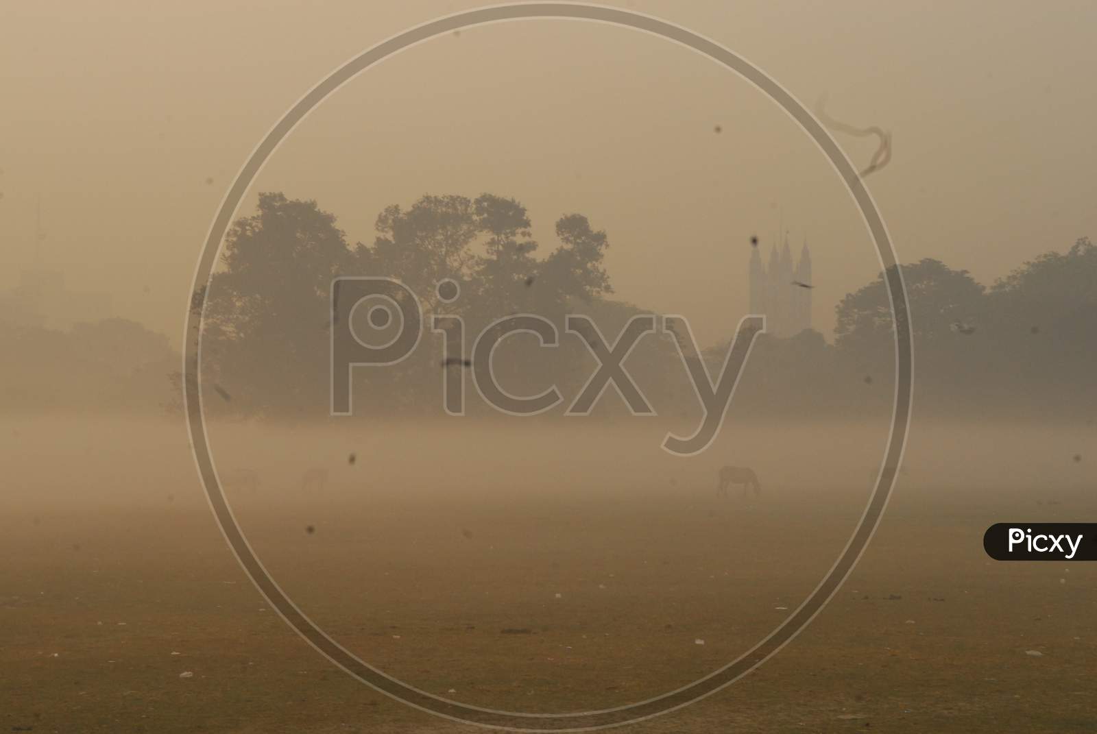 View of empty ground during heavy fog