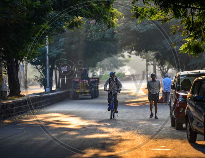 A Man Riding Bicycle On an Urban City Road  With Canopy Of Tree