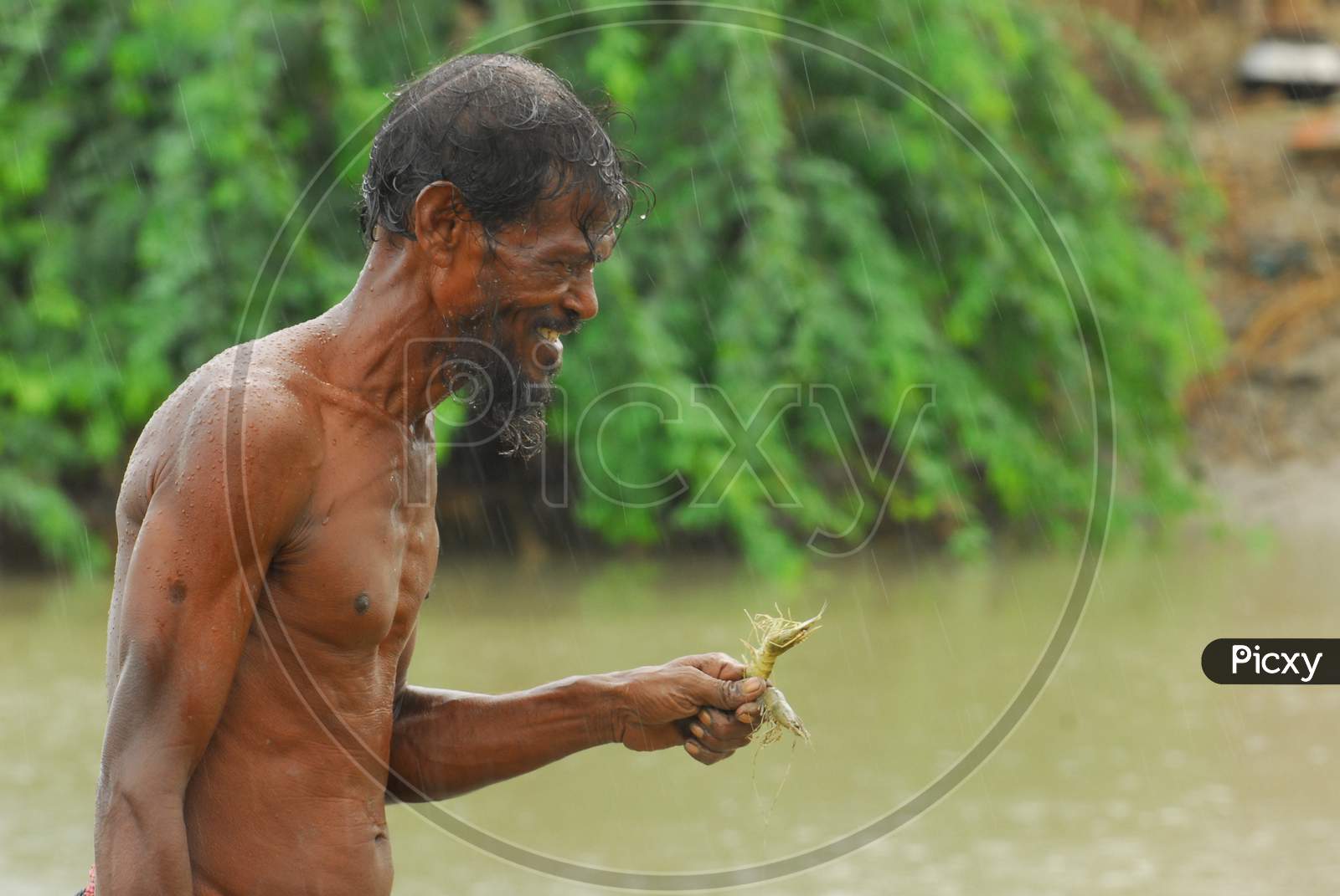 Indian bare chested man holding a shrimp