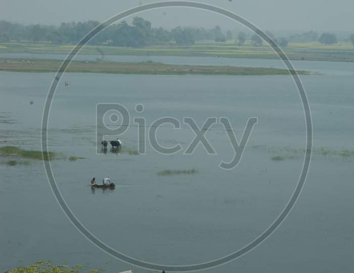 Lake Or Pond In an Rural  Indian Village Near Murshidabad, West Bengal