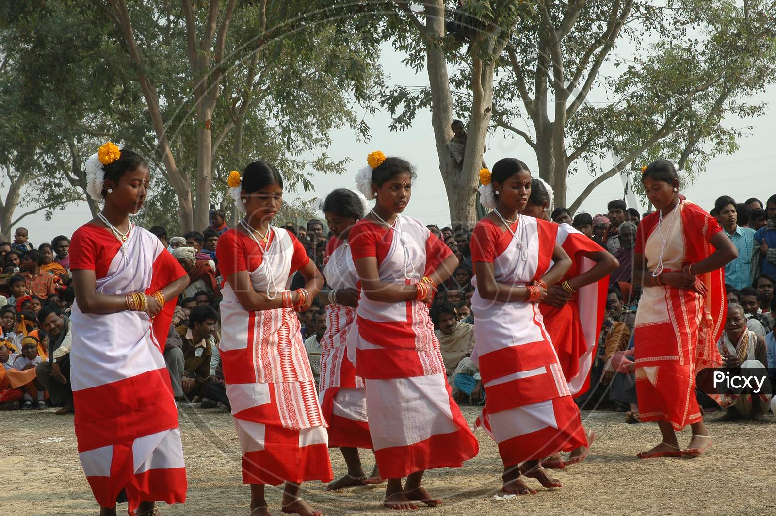 Indian Tribal People Performing Traditional Folk Dance During Festivals in Murshidabad, West Bengal