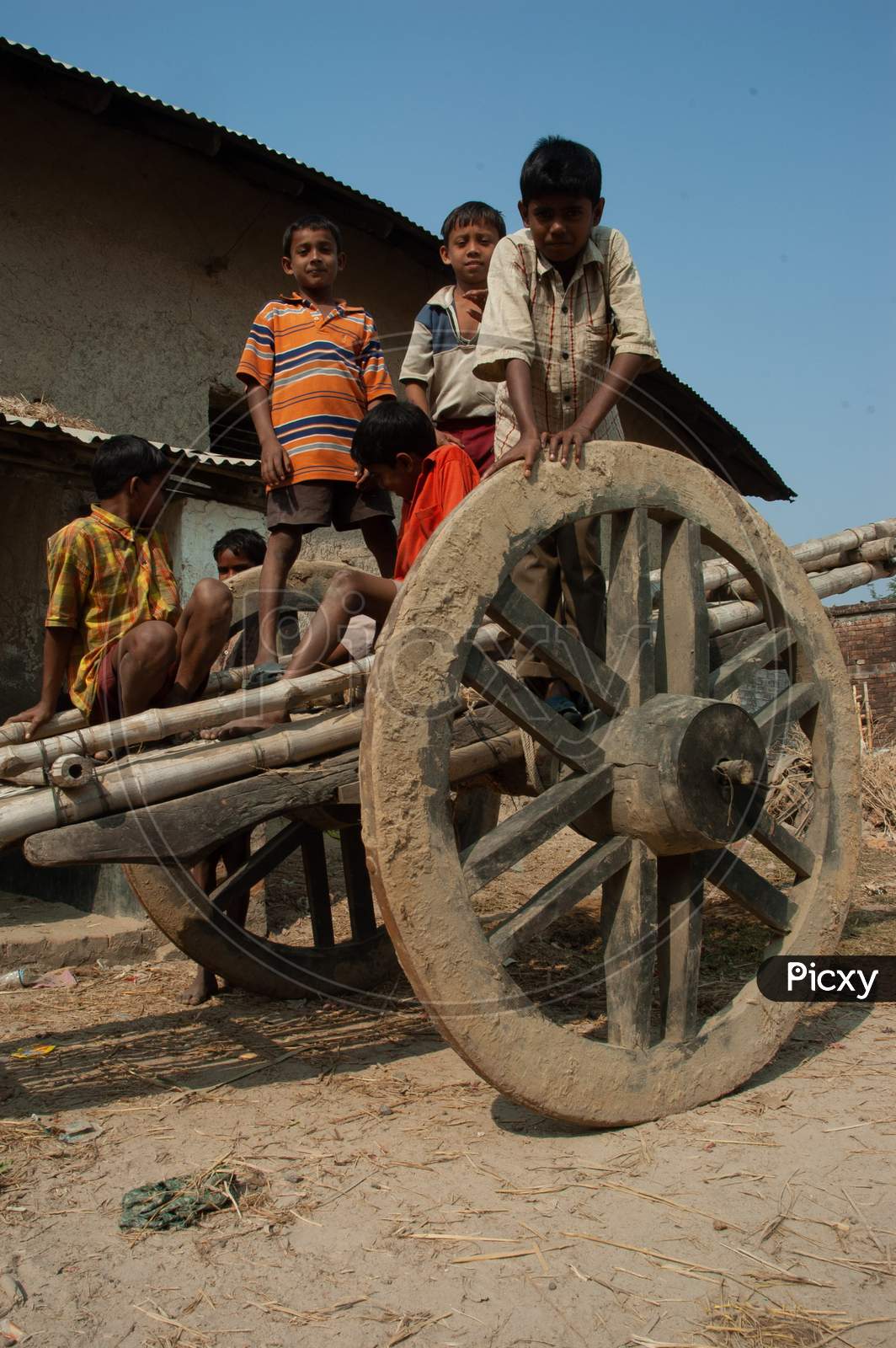 Children Playing On a Bullock Cart At A Rural Village Streets  in Murshidabad, West Bengal