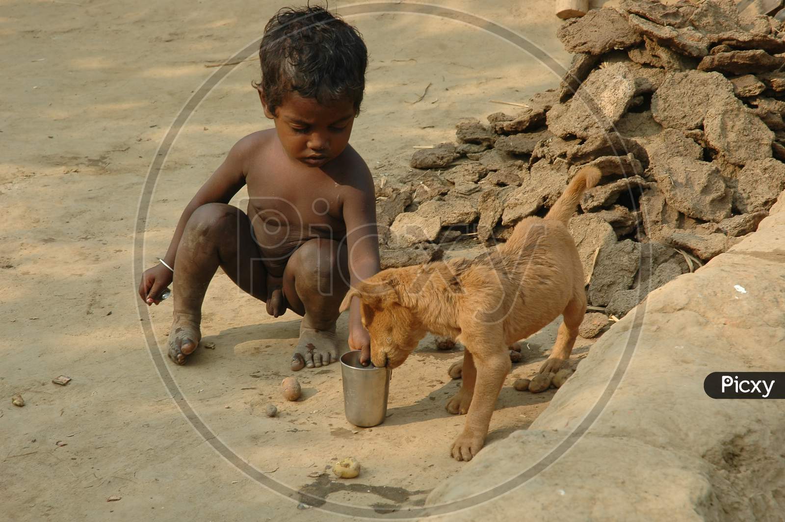 A Tribal Village Boy Playing With a Dog In An Tribal  Village Near Murshidabad , West Bengal