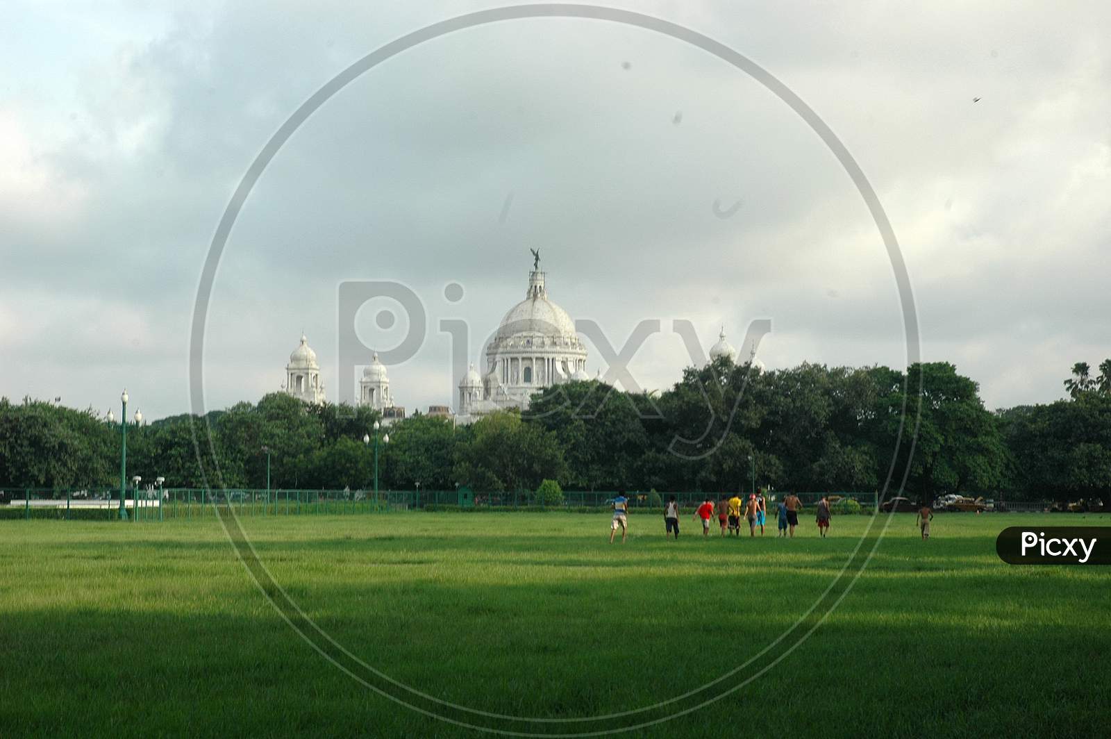 Horse Grazing On Lawn Garden With Victoria Palace in Background At Maidan , Kolkata
