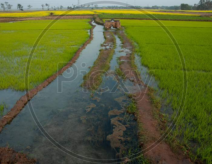 Water Channels in Agricultural Fields