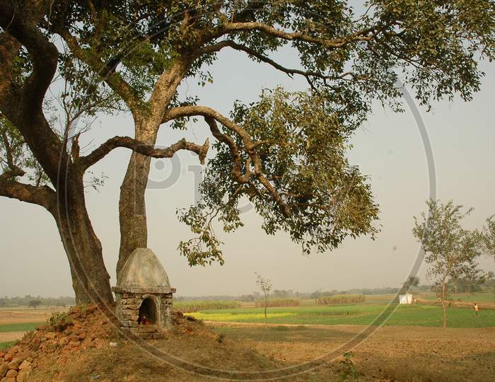 Small Temples  At Tress Near Agricultural Fields in Rural Villages Near Murshidabad , West Bengal