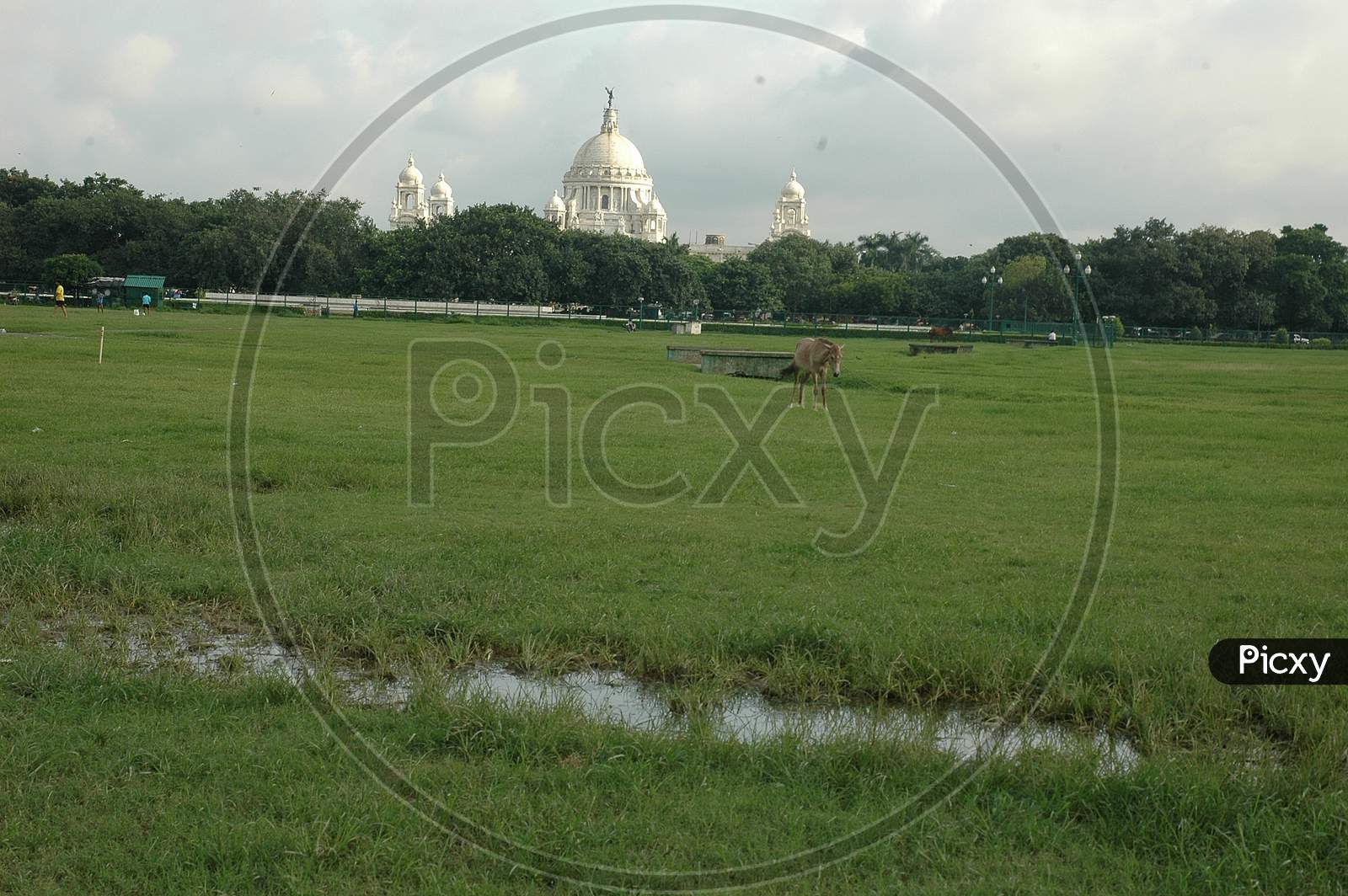 View Of Victoria Palace  From  Maidan , Kolkata