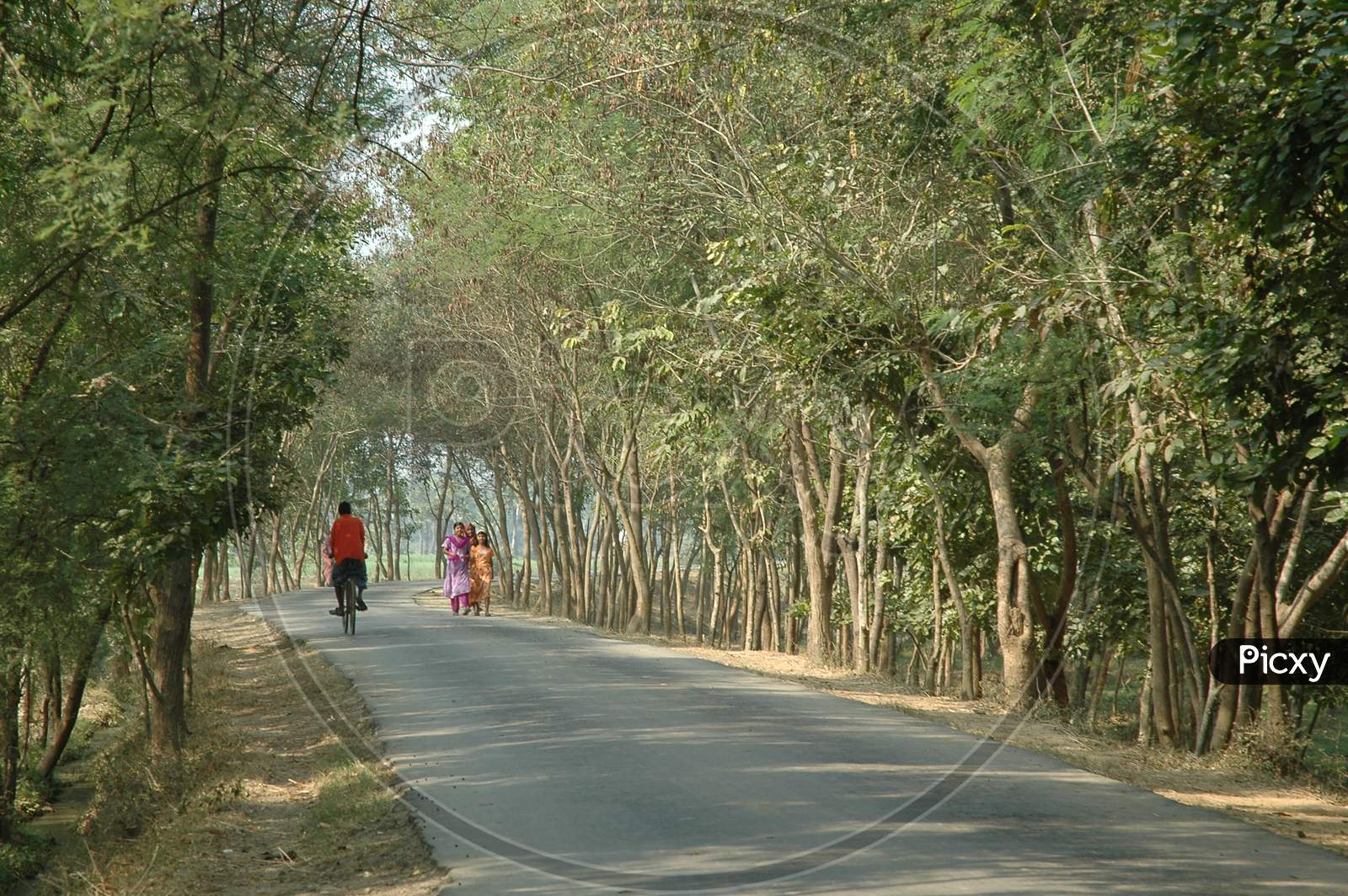 People On The Rural Village Roads  On Murshidabad , West Bengal