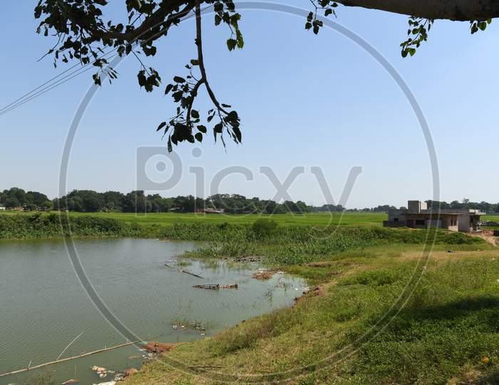Pond In an Village Outskirt