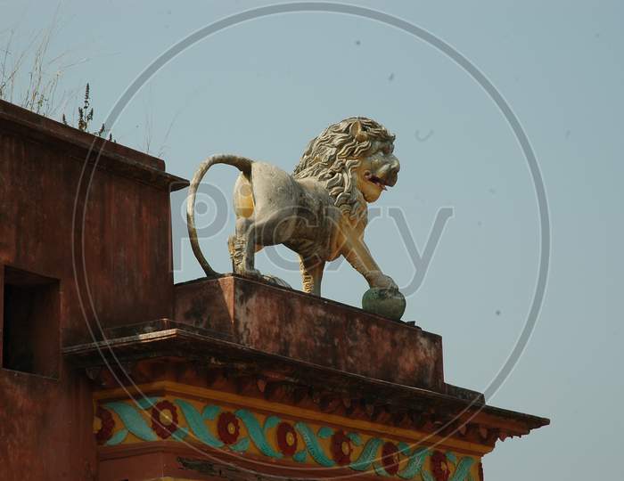 A Lion Statue
