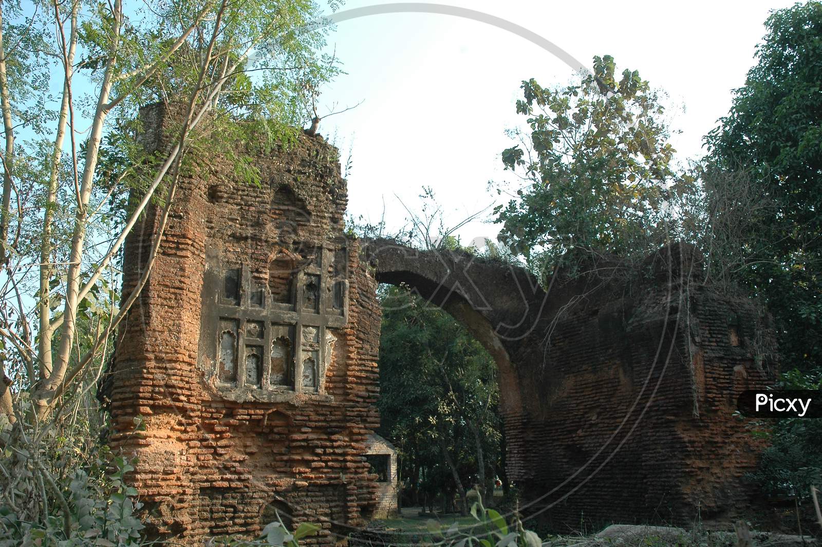 Old Ruins Of Kosh Bagh  In Murshidabad