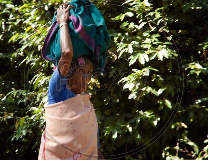 Tribal Woman in Araku Region