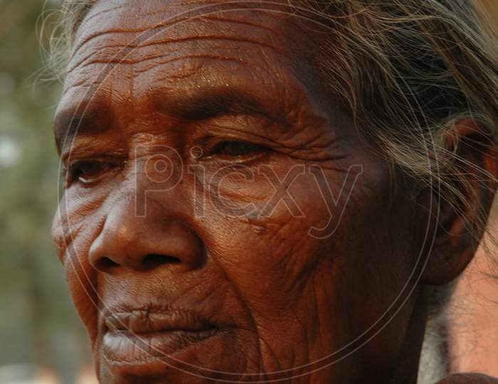 Indian Rural Village Woman At Murshidabad