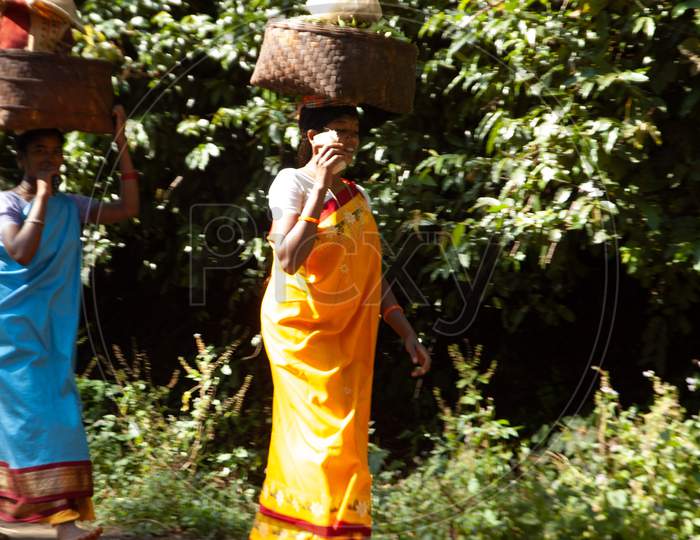 Tribal Woman Walking  and Carrying  Vegetable Baskets  Grown in  Agricultural Fields On the Roads of  Araku Forest