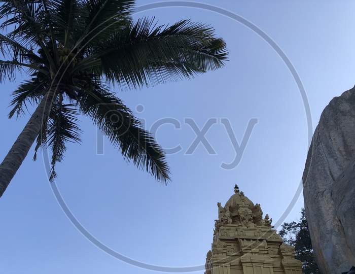 Canopy Of Coconut Tree And Hindu Temple Shrine Over Blue Sky