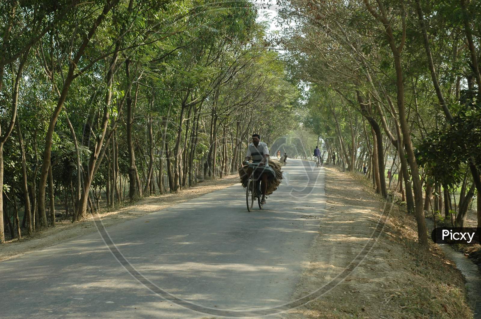 People On The Rural Village Roads  On Murshidabad , West Bengal
