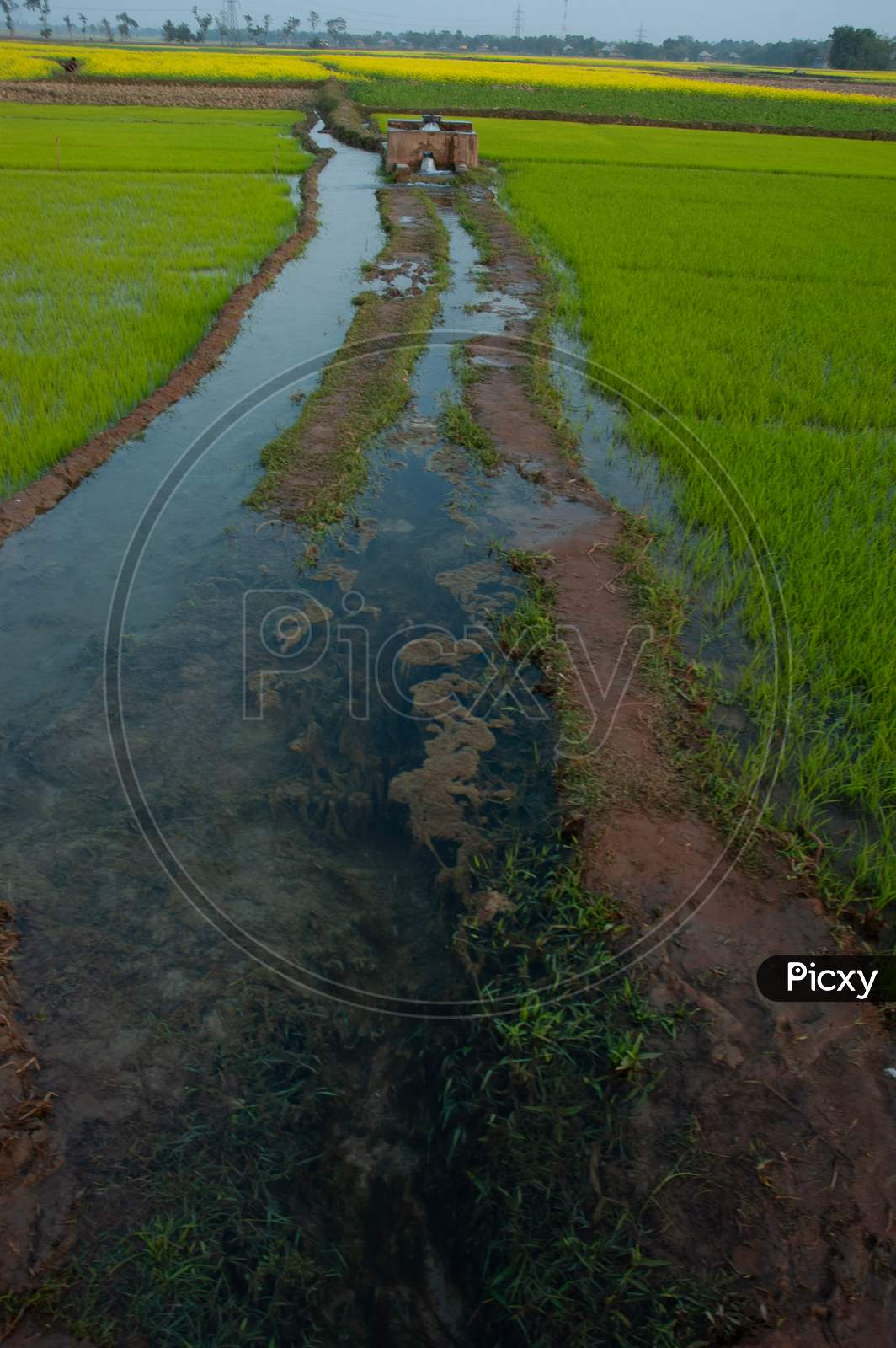 Water Channels in Agricultural Fields