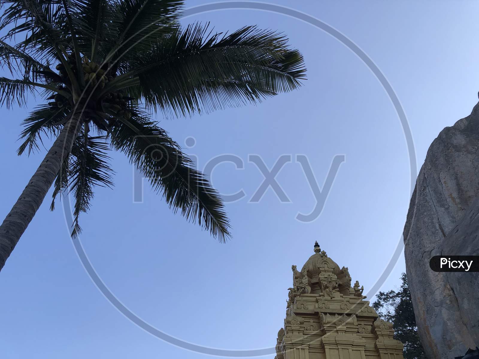 Canopy Of Coconut Tree And Hindu Temple Shrine Over Blue Sky