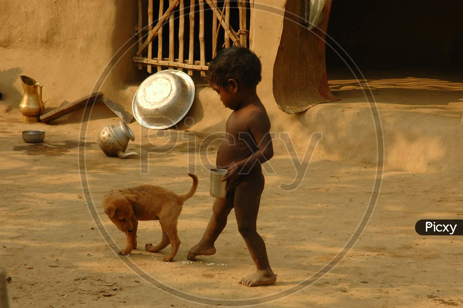 A Tribal Village Boy Playing With a Dog In An Tribal  Village Near Murshidabad , West Bengal