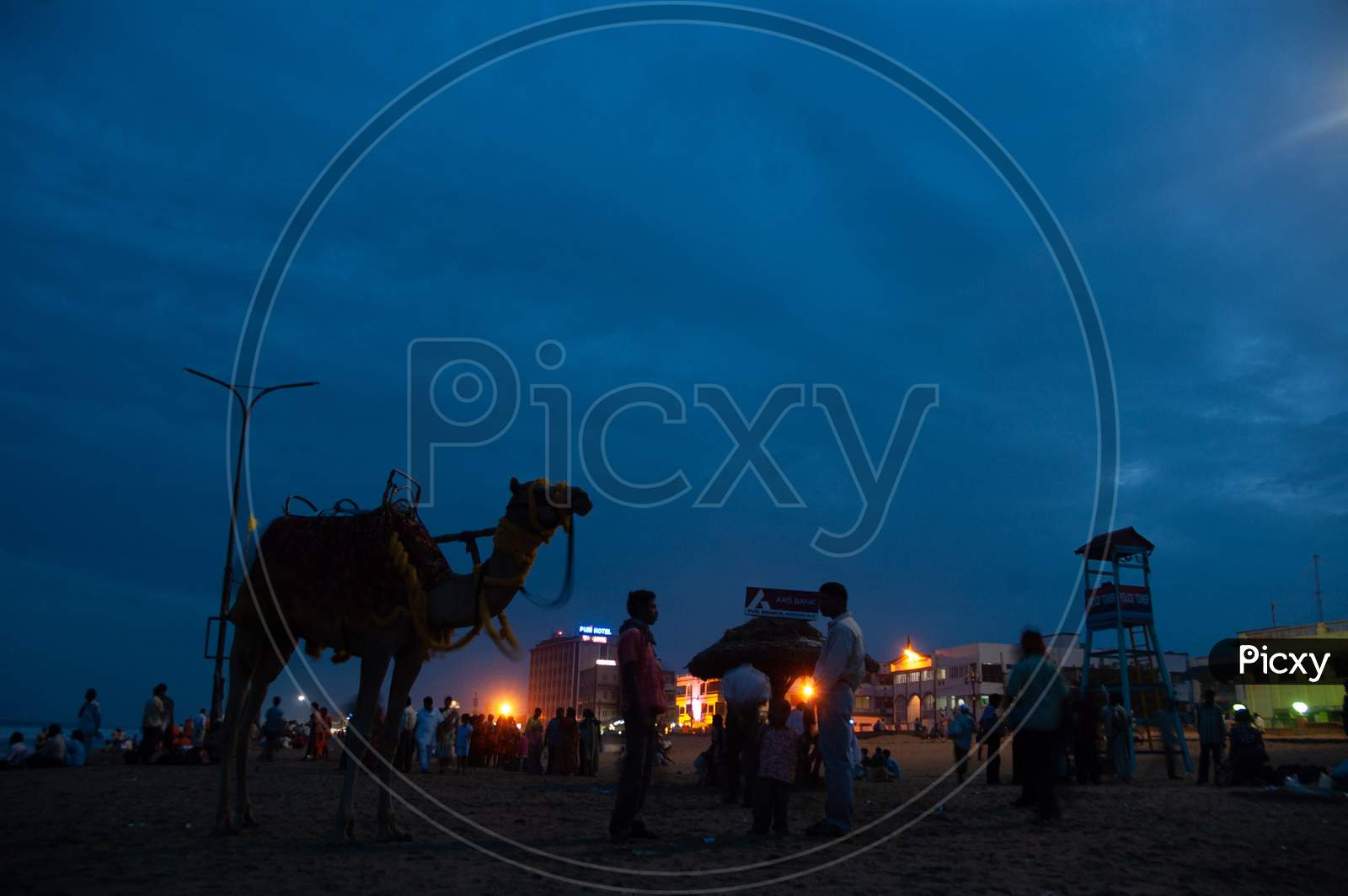Camel rider having a conversation during evening by the beach
