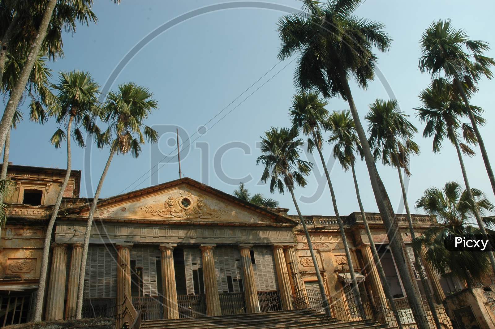 Palm Trees alongside Hazarduari Palace