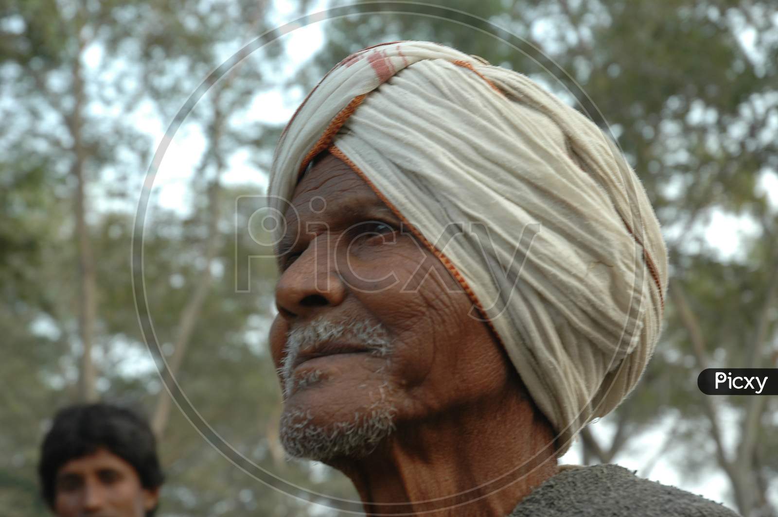 An Old Man With Turban