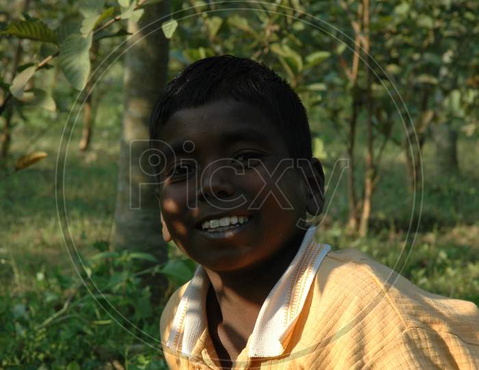 Indian Children In Guava Gardens In Murshidabad