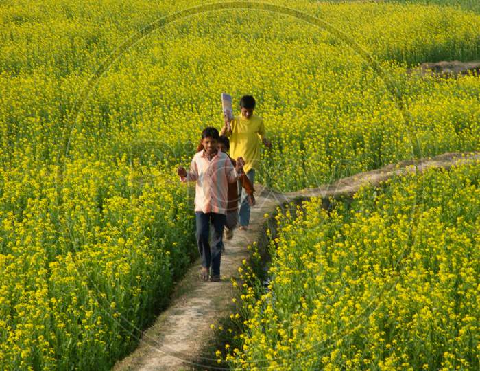 Children Playing At Agricultural Fields In Rural Indian Villages Near Murshidabad, West Bengal