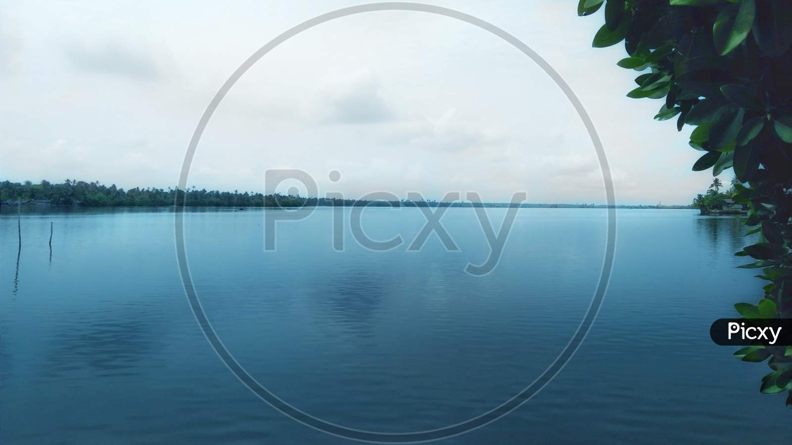 A View Of Backwaters