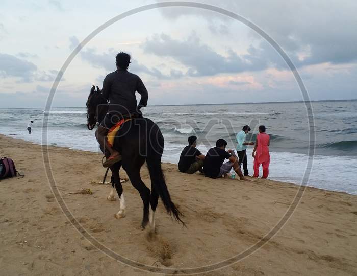 Horse Riding In a beach