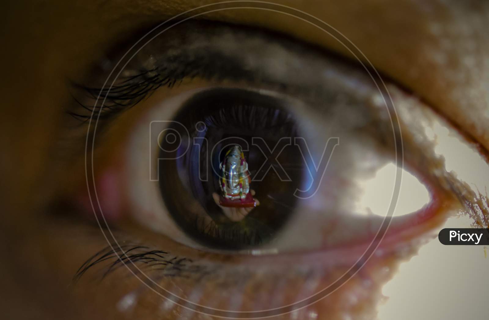 Human Eye  Closeup