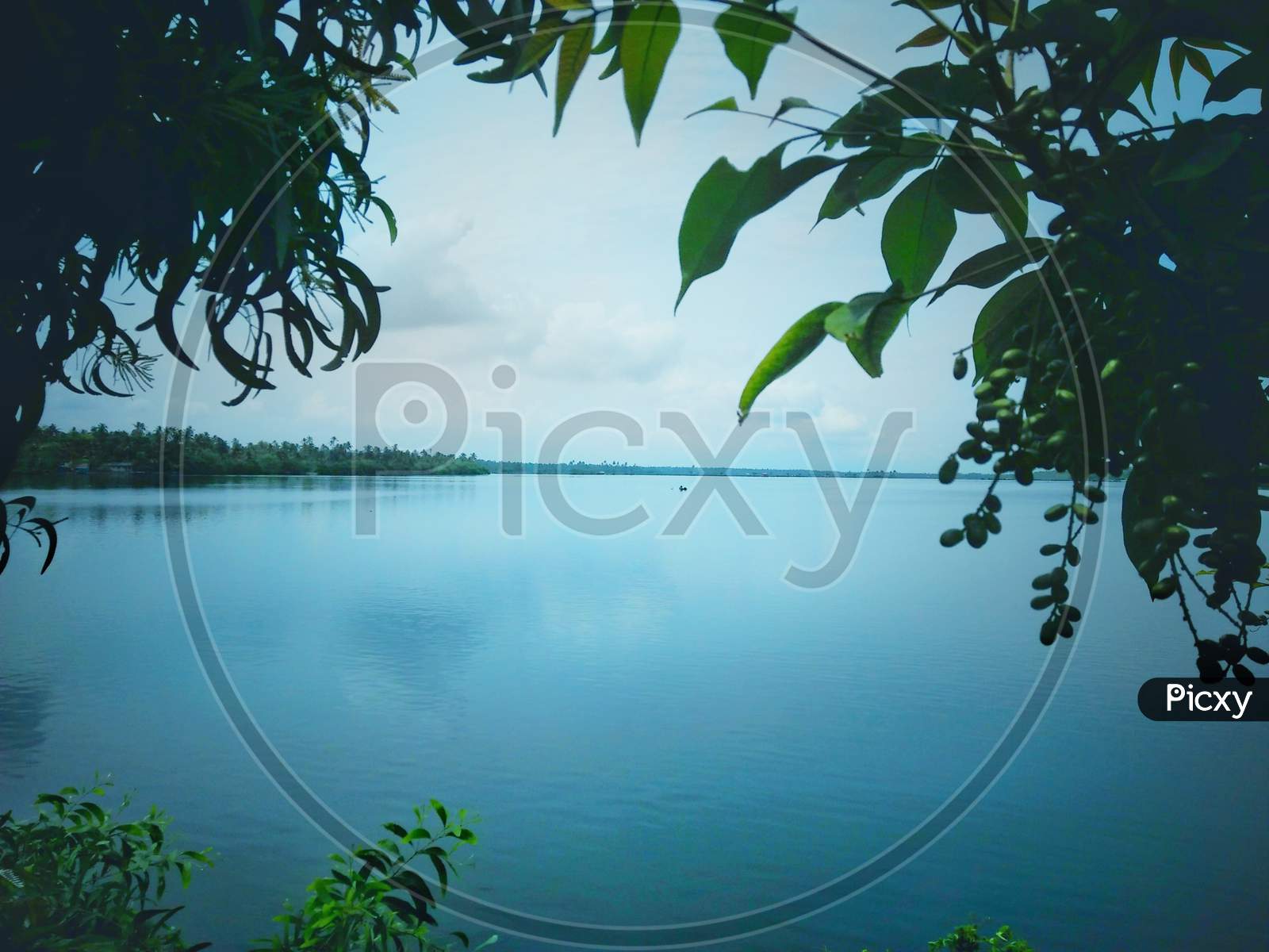 A View Of Backwaters