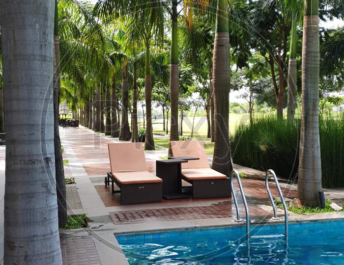 Swimming Pool in a Resort