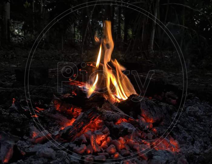 Camp Fire  At Woods During Outing