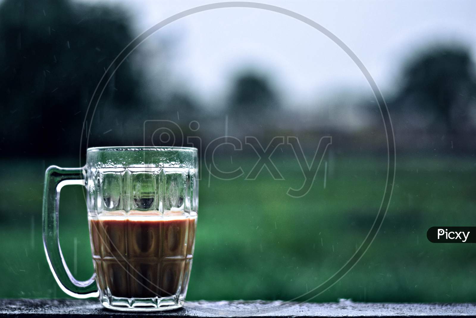 Tea in a Cup With Bokeh Background