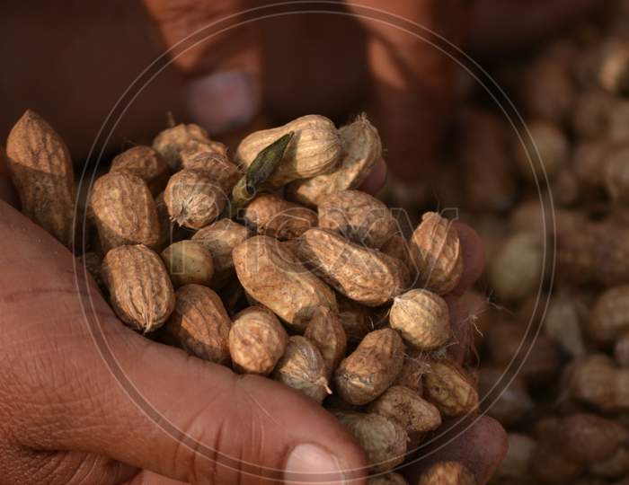 Ground Nuts in an Vendor Hands