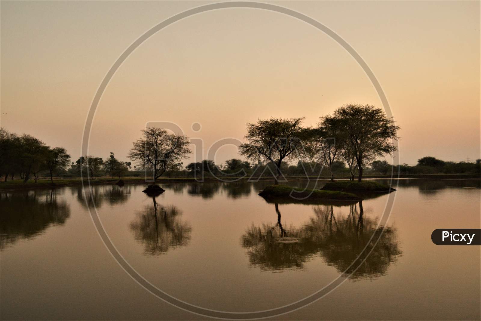 Reflection Of Trees At a Lake