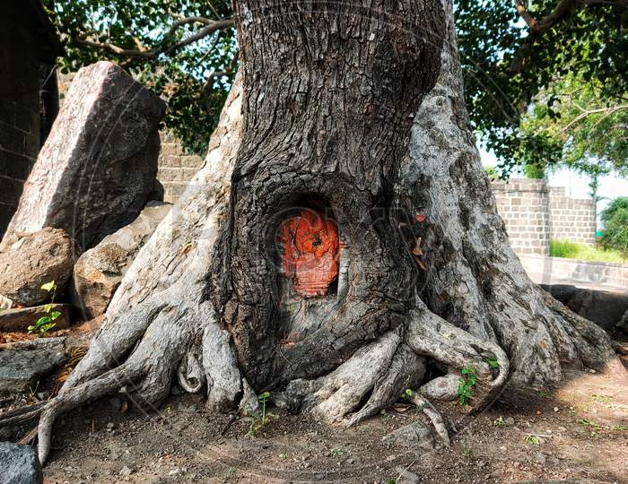 Hindu God Sculpture on Tree Stem