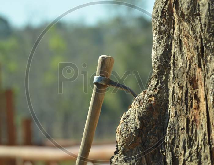 Axe   At a Tree, Deforestation Concept