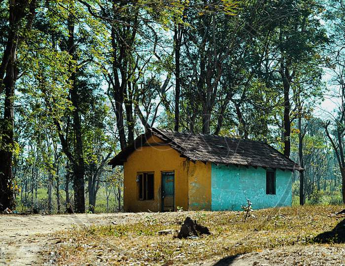 Tile Hut In an Forest Area
