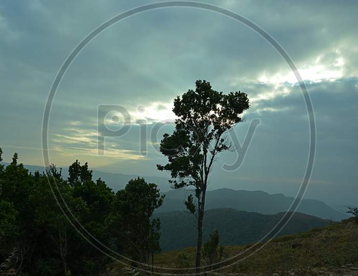 Trees in a Hill With Dark Clouds in Sky As Background