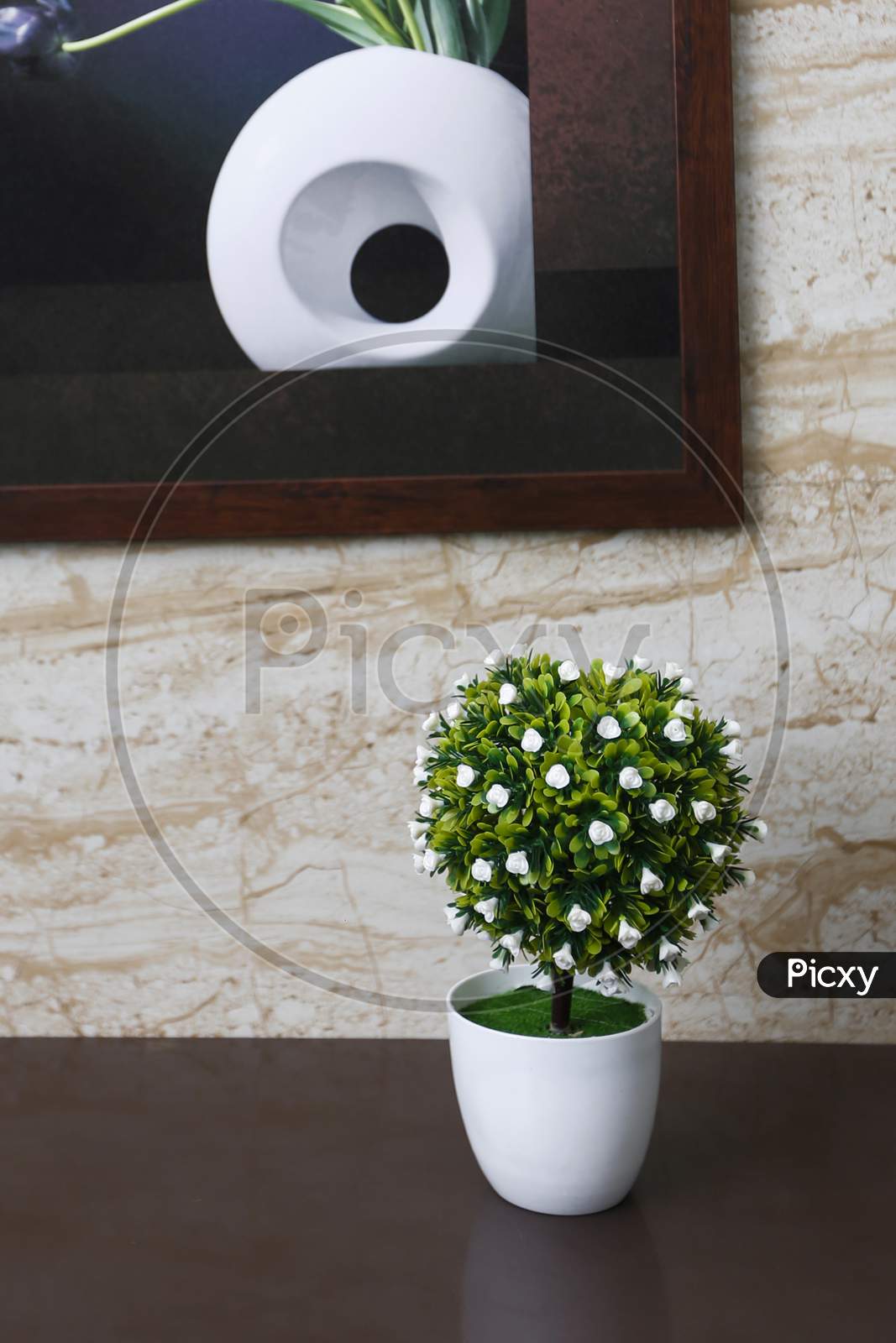Artificial Plant In an House