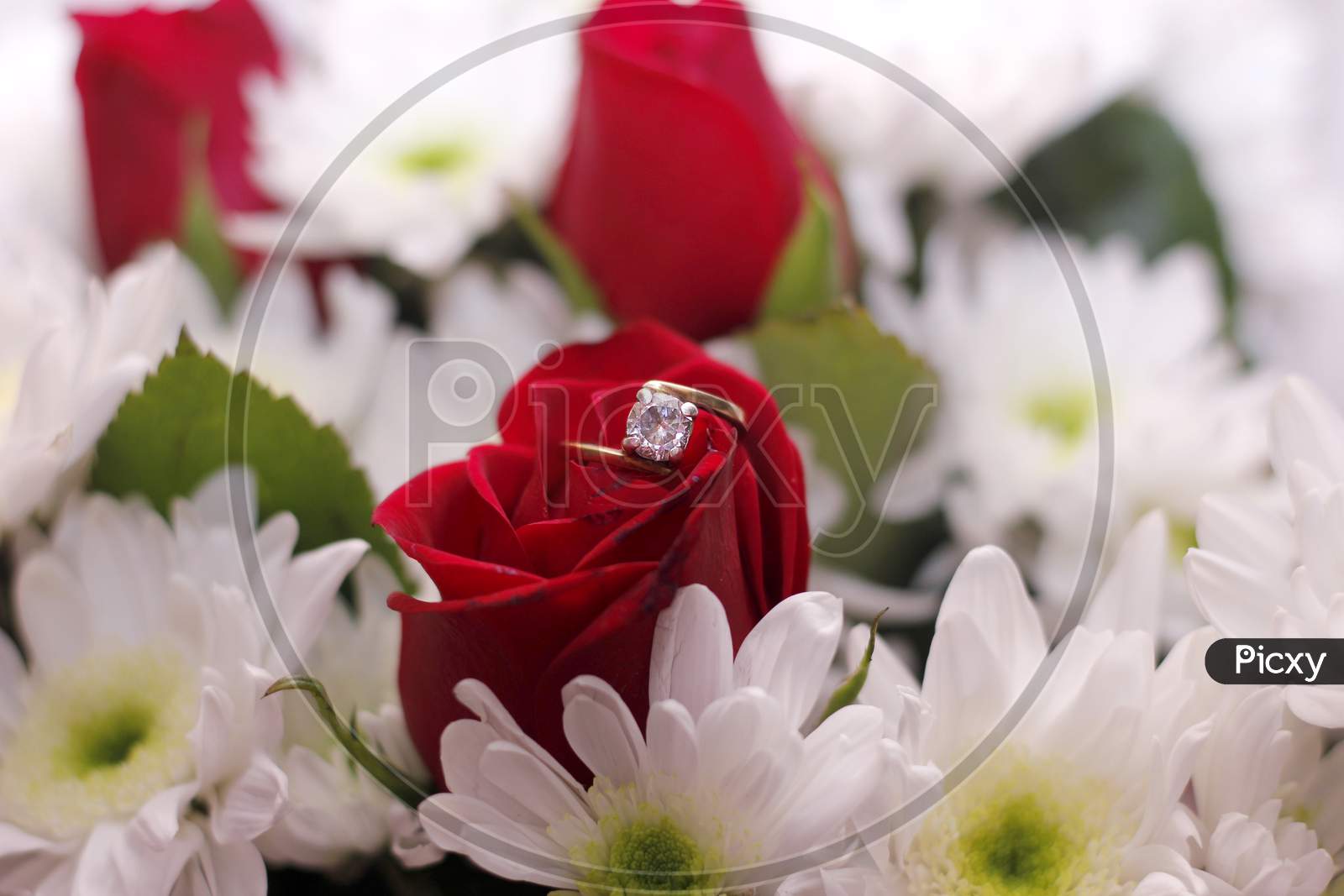 Diamond Ring With Flower in Background