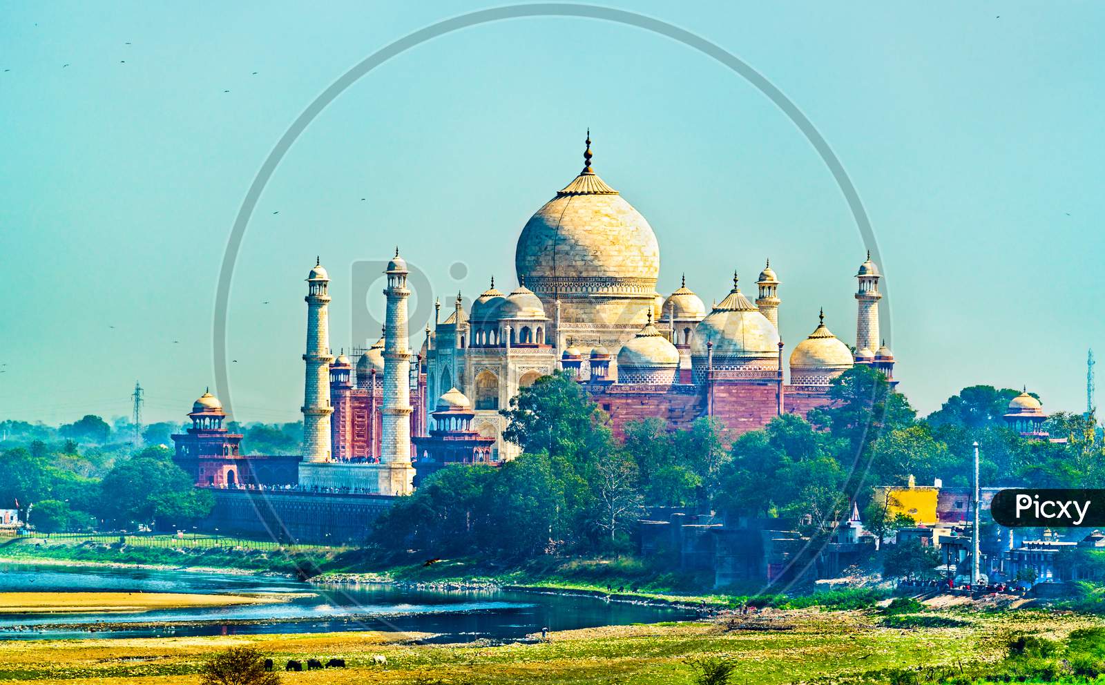 View Of Taj Mahal From Agra Fort. Uttar Pradesh, India