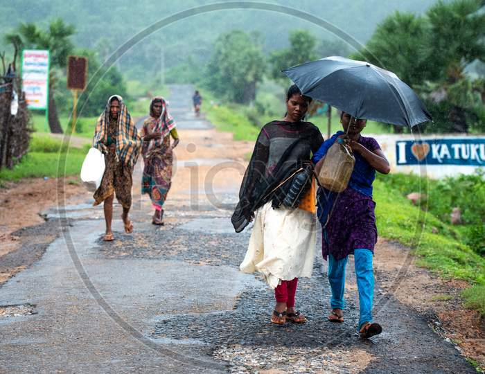 Rural Village Woman Walking On Roads  With Umbrellas In Rain