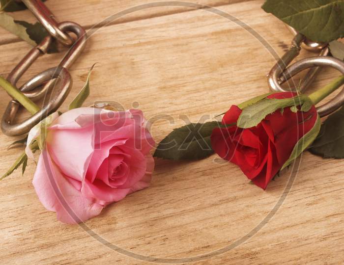 Rose Flowers Locked With Chain  Over Wooden Background