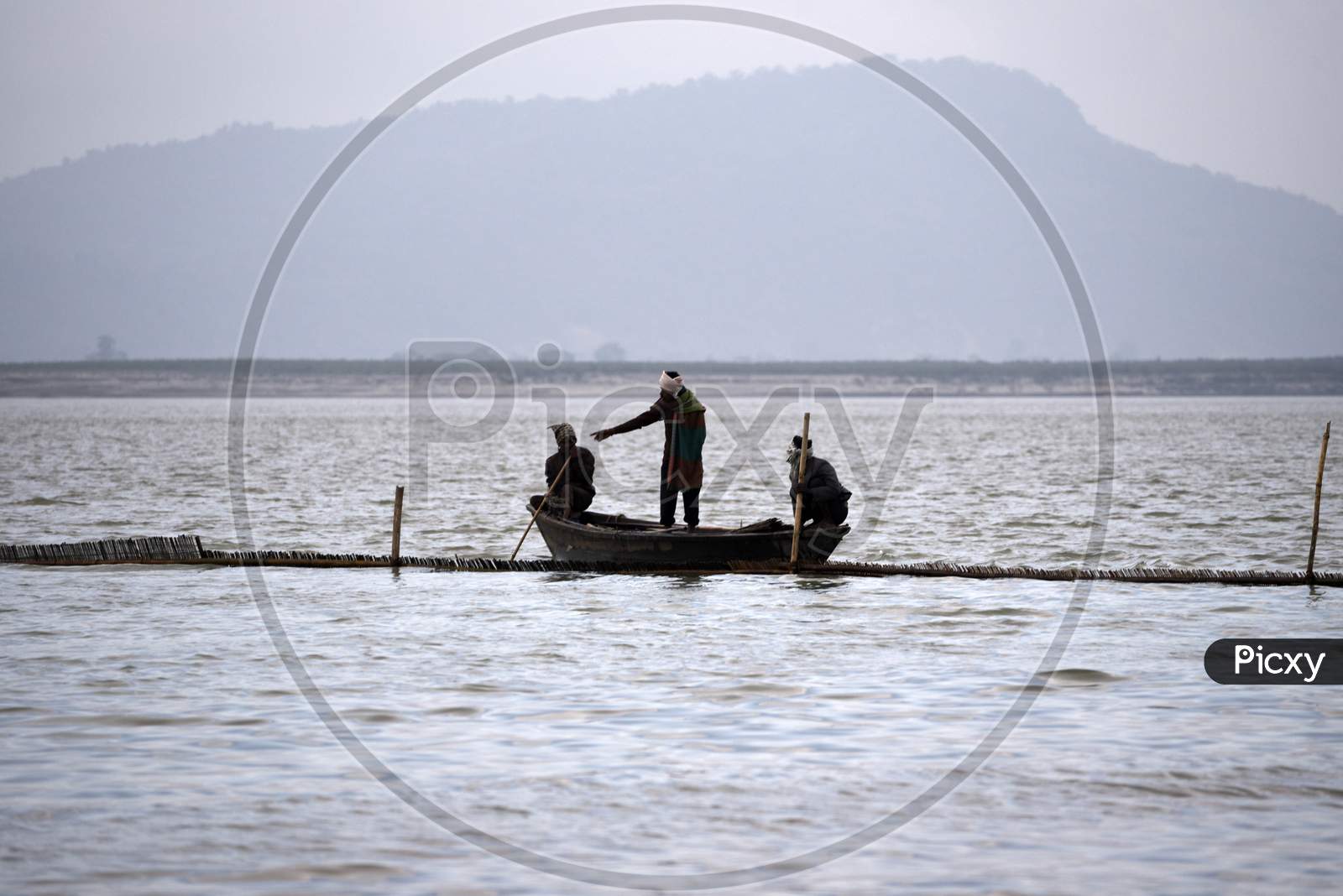 Fisherman Lay Their Bamboo Made Fishing Net In The Brahmaputra River In A Cold Winter Evening, In Guwahati