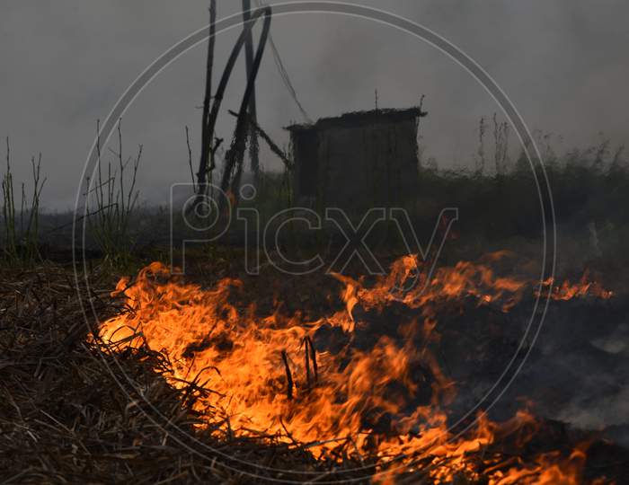 Stubble Burning of a Sugar Cane crop causing Smoke and Air Pollution
