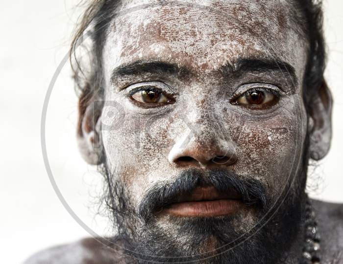 Portrait Of An Indian Sadhu Or Baba   With Ash All on His Face
